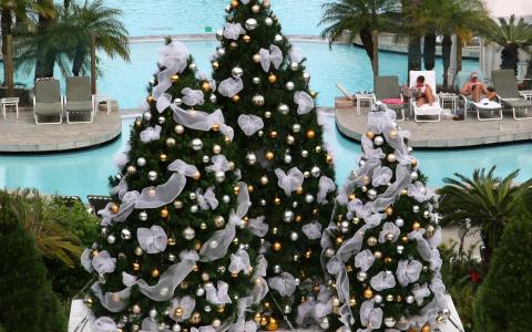 圣诞树，度假村，游泳池，手掌，新的一年，玩具