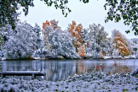雪，性质，冬天，树，叶子，天空，草，河