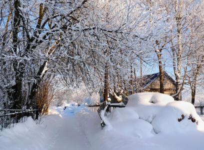 冬天，雪，街道，早上