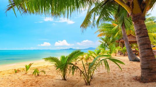 自然，热带，海滩，棕榈树，海洋，山，美丽，度假，度假村，天空，云，夏天