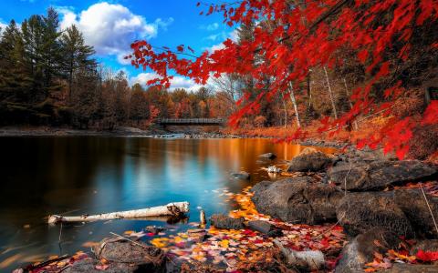 水，山，树，桥梁天空，秋，自然，宽屏