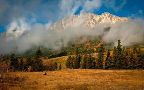 云，雾，自然，山，秋天
