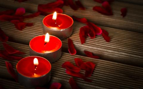 蜡烛，浪漫，花瓣