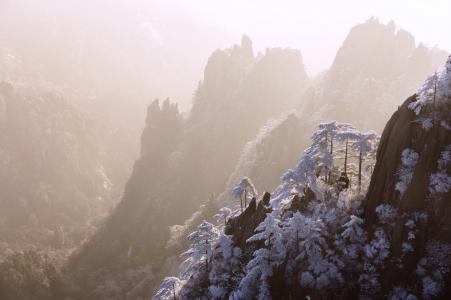 中国，山，树，雪，美丽