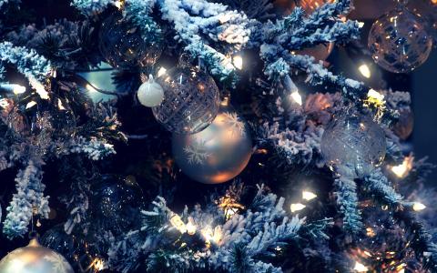 圣诞树，新年，玩具，美丽，白霜