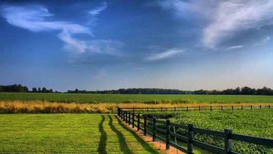 牧场，草，木栅栏