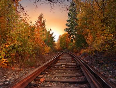 铁路，铁路，枕木，秋天，树木