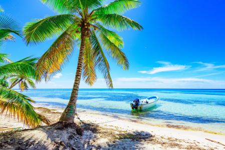 船，海洋，热带地区，棕榈树，度假村，休息，美丽