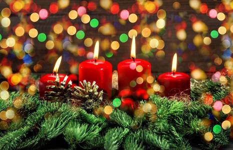 分支机构，新的一年，针，散景，圣诞节，视锥细胞，枞树，云杉，假期，蜡烛