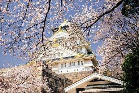 日本，大阪，宫殿，天空，春天，开花