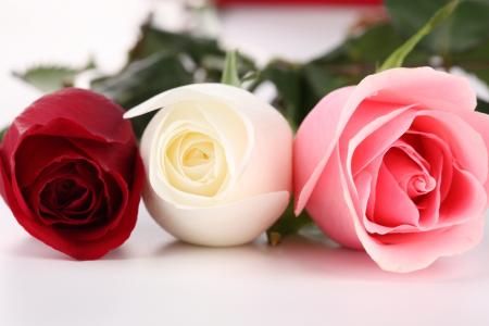 三，玫瑰，红色，粉红色，白色