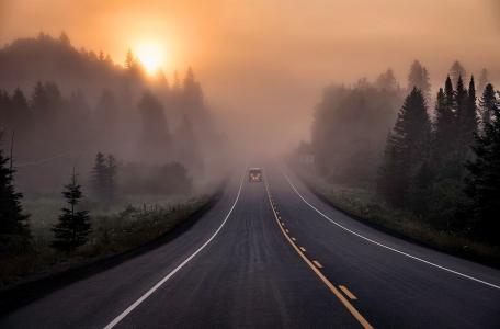 道路，森林，汽车，雾，美女