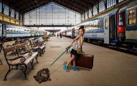 火车，火车，女孩，猫，休息