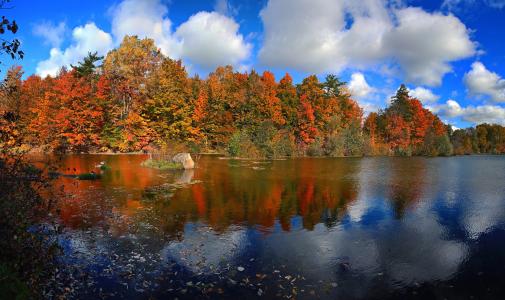 油漆，树，叶子，湖，安大略省，云，天空，加拿大，秋天，森林