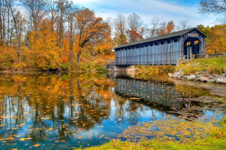河，桥，自然，秋天