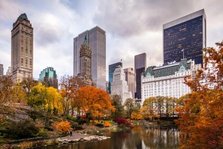 摩天大楼，公园，美国，纽约市，城市，纽约，美国，秋天