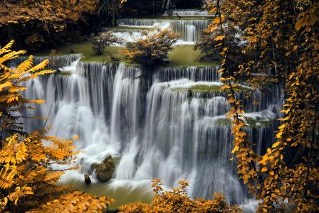 自然，树木，瀑布，秋天，树叶