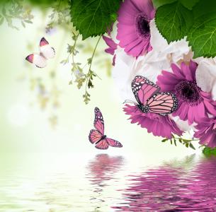 蝴蝶，春天，紫罗兰色，水，photoshop，美丽，鲜花