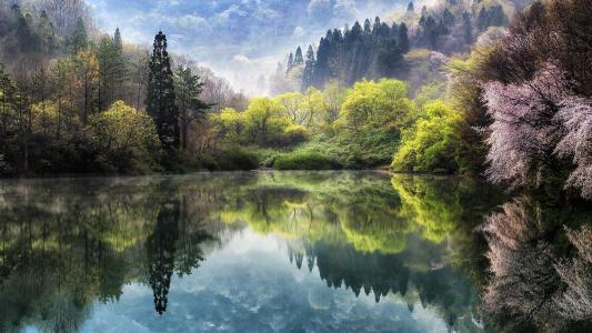 春天，日本，美丽，池塘，山脉