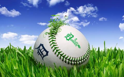 棒球，球，草，绿色的游戏