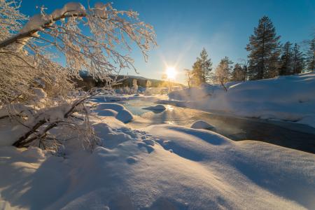 性质，冬天，雪，河，树，太阳，光线，早上