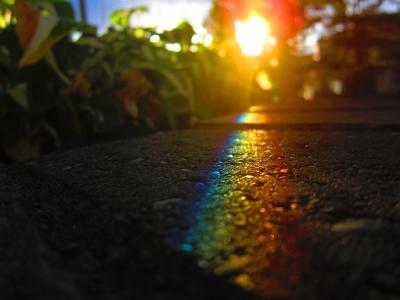 彩虹，misscaptianobvious =，沥青，光线，阳光