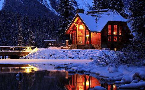 自然，冬季，雪，树，冷杉，房子，平房，池塘，桥，夜，光