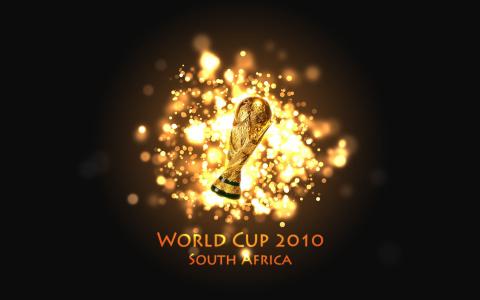 FIFA世界杯，2010年，足球