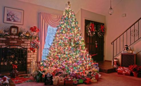 圣诞节，圣诞树，礼物，节日，圣诞节的气氛，舒适