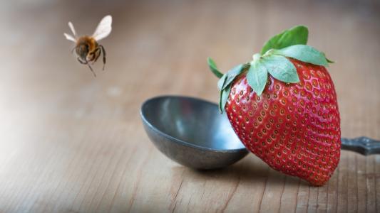 夏天，板，钢包，浆果，草莓，蜜蜂