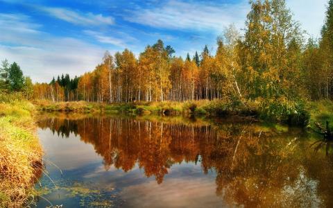 秋季，景观，自然，森林，河流