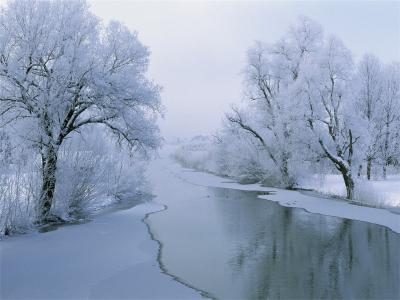 冬天，雪，树，冰，河
