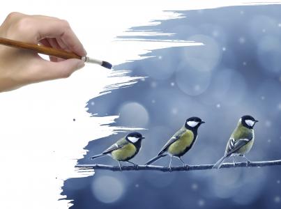 手，绘图，鸟，山雀，雪，分支，画笔