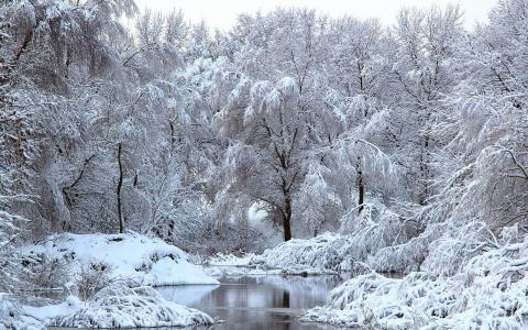 雪，树，河，冬天