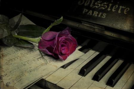 笔记，花，玫瑰，钢琴