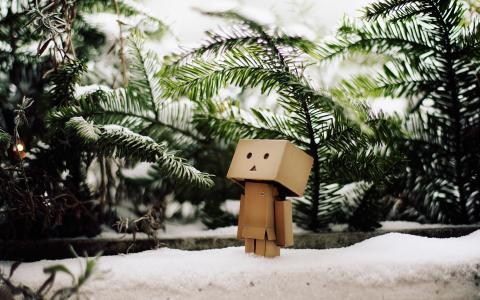 机器人，框，冬天