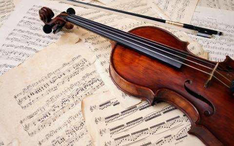 乐器，小提琴