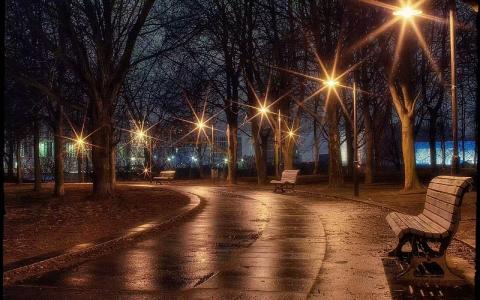 公园，晚上，灯，长凳