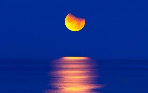 海洋，月光漫步，月亮，光，夜，自然，美丽