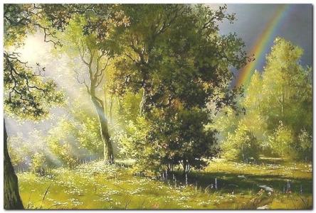 森林，绿色，雨，太阳光线，彩虹