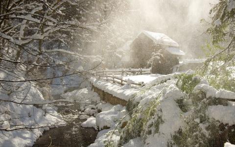 冬天，森林，河，狩猎小屋，雪，早上，美丽