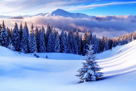 冬天，性质，山，雪，超级照片