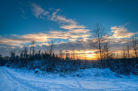 冬天，日落，景观
