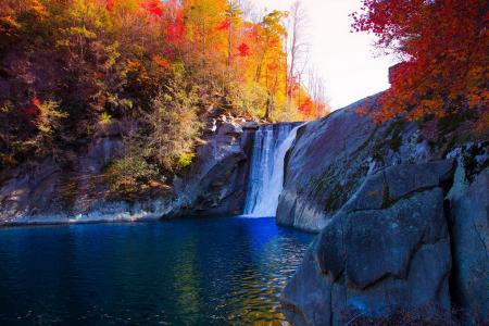 秋天，森林，河流，瀑布，美景
