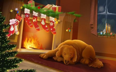 热，狗，壁炉，新年，圣诞节，晚上