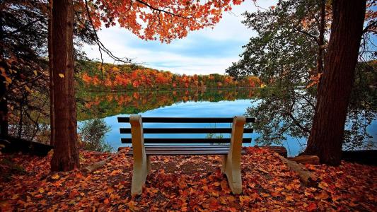 秋天，河，森林，长凳