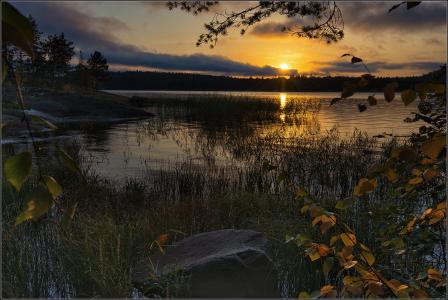 卡累利阿，拉多加湖，晚上，太阳，日落，路径，树木，阿纳托利Dovydenko