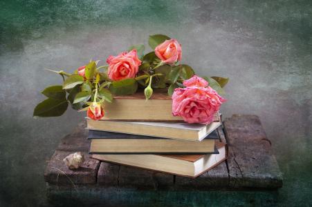 板，书，花，玫瑰，贝壳，静物