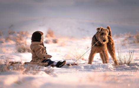 照片，积极，狗，孩子，冬天，雪