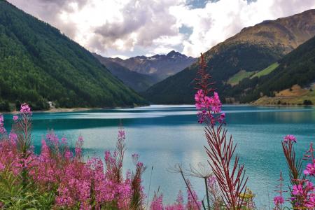 湖，山，鲜花，自然，景观